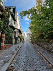 Fototapeta na wymiar Vertical shot of empty cobblestone street between green plats and buildings in a town