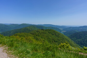 Fototapeta na wymiar Montagne de Ballon d'alsace, paysage