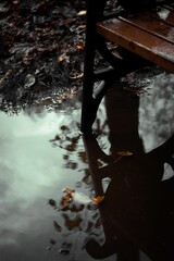 Fototapeta premium Vertical shot of a lake in autumn