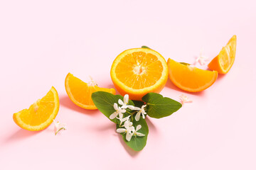 Fototapeta na wymiar Oranges with blooming branch on pink background
