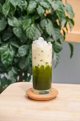 Refreshing cocktail with green leaves of plant in the background