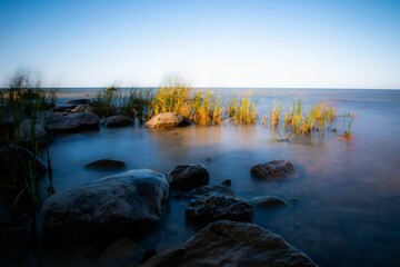 Long exposure of coastal stones and plants in a blue sea under the vibrant sky