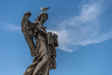 Angel with Seagull