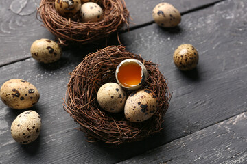 Nest with fresh quail eggs on dark wooden background