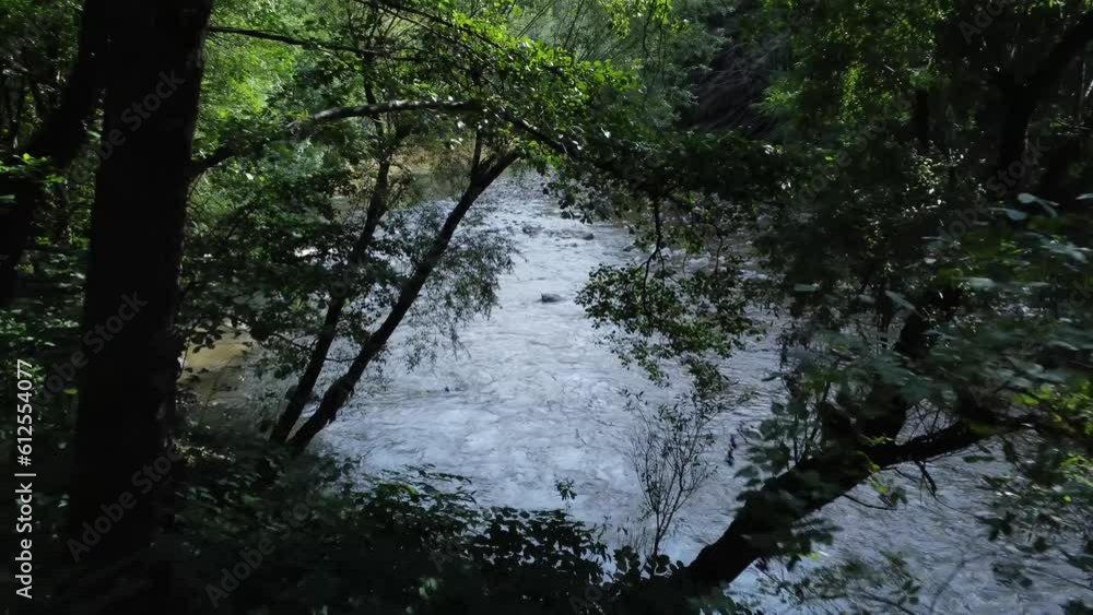 Poster drone footage descending on flowing river with rocks and trees in the forest