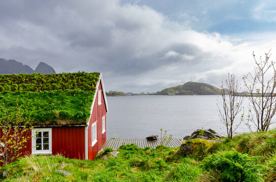 A typical Norwegian red wooden cottage with grass and weeds growing out of the roof. Beautiful mountain scenery by the lake.