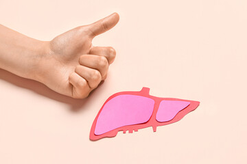 Woman showing thumb-up sign and pink paper liver on beige background