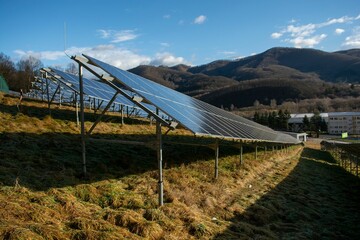 Solar photovoltaic power plant in the field near the forest