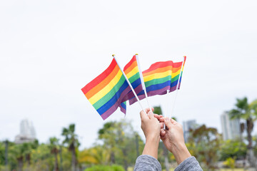 A woman person holding  flag for support freedom community, Lgbt relationship