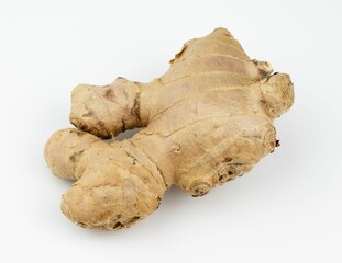 Closeup view of a fresh ginger rhizome on white background.