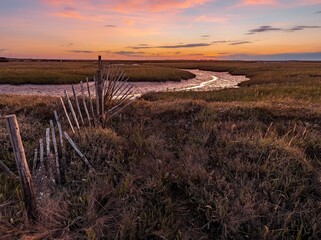 Obraz premium River flowing in the middle of a meadow during a golden hour