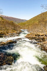 Beautiful view of Norwegian mountains on a clear sunny day with wild river full of fish. Super green scenery idyllic nature just like a postcard.