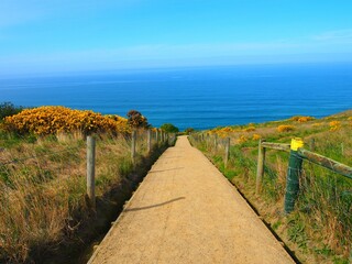 Fototapeta na wymiar Road leading to the Dunedin sea in New Zealand