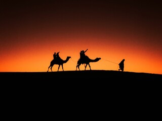 Silhouettes of caravan in a desert at sunset