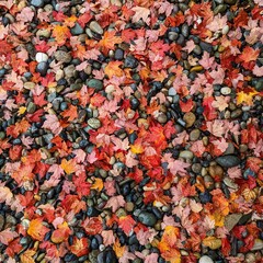 Top view of the small wet stones and the red fallen autumn leaves for the background