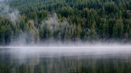 Calm lake surrounded by the foggy forest with green trees during the daytime - Powered by Adobe