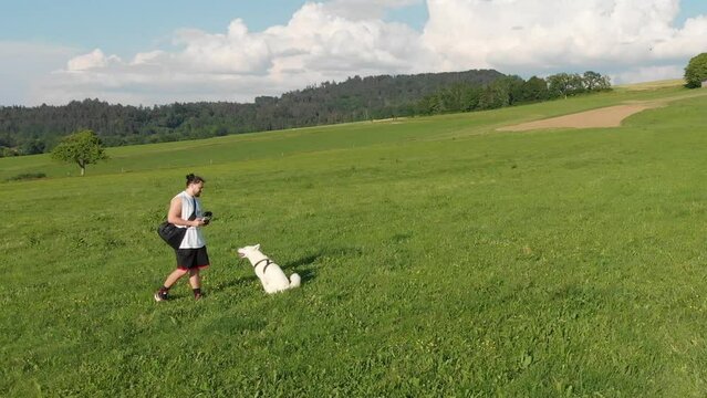Bauernhof mit einer gr&uuml;nen Wiese auf einem Feld und einem Hundebesitzer mit seinem Hund einem wei&szlig;en Husky der sitz und platz macht f&uuml;r ein Leckerli Erziehung Gassi in 4k Drohne