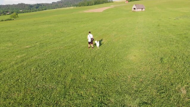wei&szlig;er Husky Hund und sein Besitzer, ein Junge mit langen Haaren, shorts, einem Achselshirt, einer Umh&auml;ngetasche gehen gemeinsam auf einem Bauernhof Feld auf einer gr&uuml;nen Wiese Gassi im Sommer 4k 