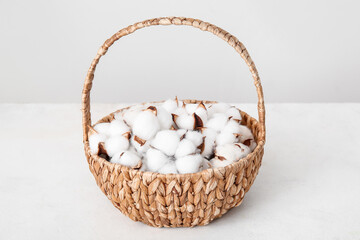 Fototapeta na wymiar Cotton flowers in basket on white grunge table near wall