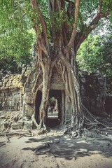 Vertical shot of the Angkor Wat Temple in Siem Reap, Cambodia