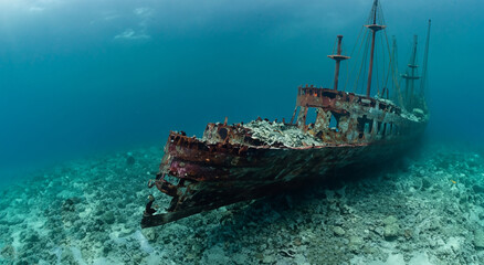 Fototapeta premium amazing rusty ship sunk in the middle of the sea with good day lighting