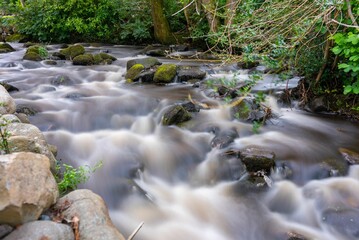 Long exposure of a rocky river flowing surrounded by forest vegetation © Ron Jobing/Wirestock Creators