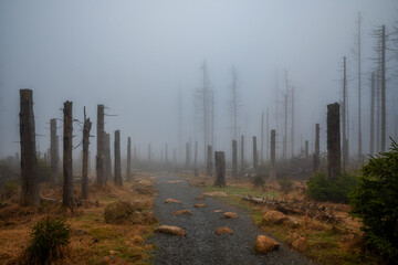 Brocken Sachsen-Anhalt