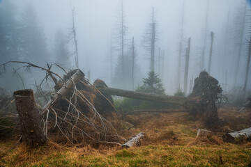 Brocken Sachsen-Anhalt