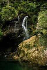 Vertical shot of a waterfall flowing down from cliffs in a forest in Milan, Italy
