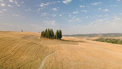 Fototapeta na wymiar Aerial view of the Tuscany fields located in Italy seen on a beautiful sunny day