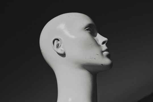 Manikin Head Images – Browse 40,795 Stock Photos, Vectors, and Video