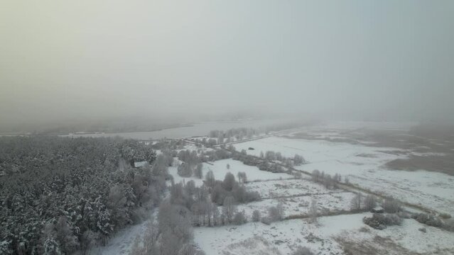 Drone shot over large snowy forest trees on ice ground with a misty sky on the horizon in the winter