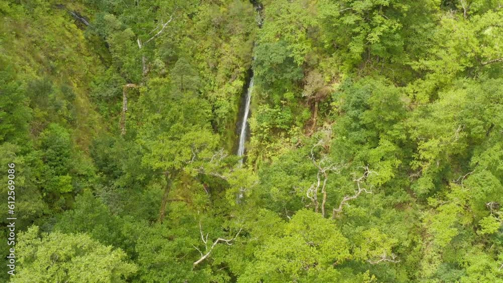 Sticker Beautiful landscape of waterfall in green forest in Madeira Island