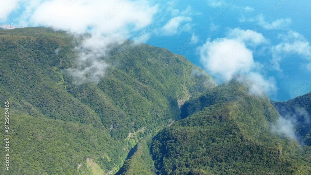 Poster aerial view of mountain landscape surrounded by dense trees