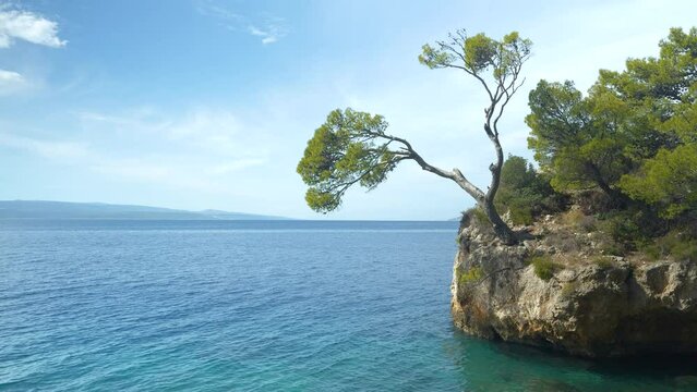 Blue and crystal clear seawater surrounding famous Brela Stone on a sunny day. Natural feature of a stone detached from shore and overgrown with pine trees near tourist village of Brela in Dalmatia.