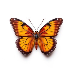 Fototapeta premium beautiful butterfly isolated on white | Generative AI 
