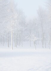 Vertical of a frosty winter landscape with snow-covered trees in a park