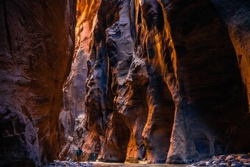 Hiker enjoying the view of The Narrows rugged walls in Zion canyon, in the Zion National Park - obrazy, fototapety, plakaty