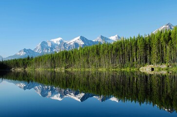 Reflection of a tree line and the snow-capped mountains on the mesmerizing Herbert lake in Canada