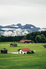 Vertical shot of cottages in the countryside with green forest and misty mountains in the background