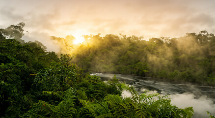 Fototapeta na wymiar beautiful amazon river with mist and green trees