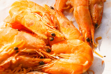 Fresh red prawn or tiger shrimps