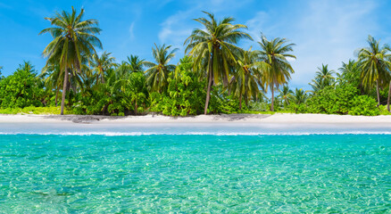 beautiful paradisiacal beach with big palm trees and crystal clear waters by day