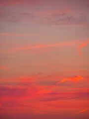 Vertical shot of the pastel color pink and purple sky during scenic sunset