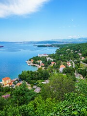Fototapeta na wymiar Vertical shot of houses and dense vegetation on the coastline with seascape and blue sky