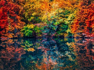 Scenic lake with reflections in autumn