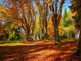 Naklejka premium Scenic landscape in autumn