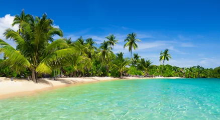 Foto op Plexiglas beautiful landscape of a paradise beach © Marco