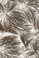 strands of hair texture