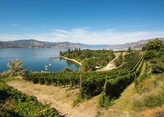 Aerial view of lake surrounded by mountains behind vineyard